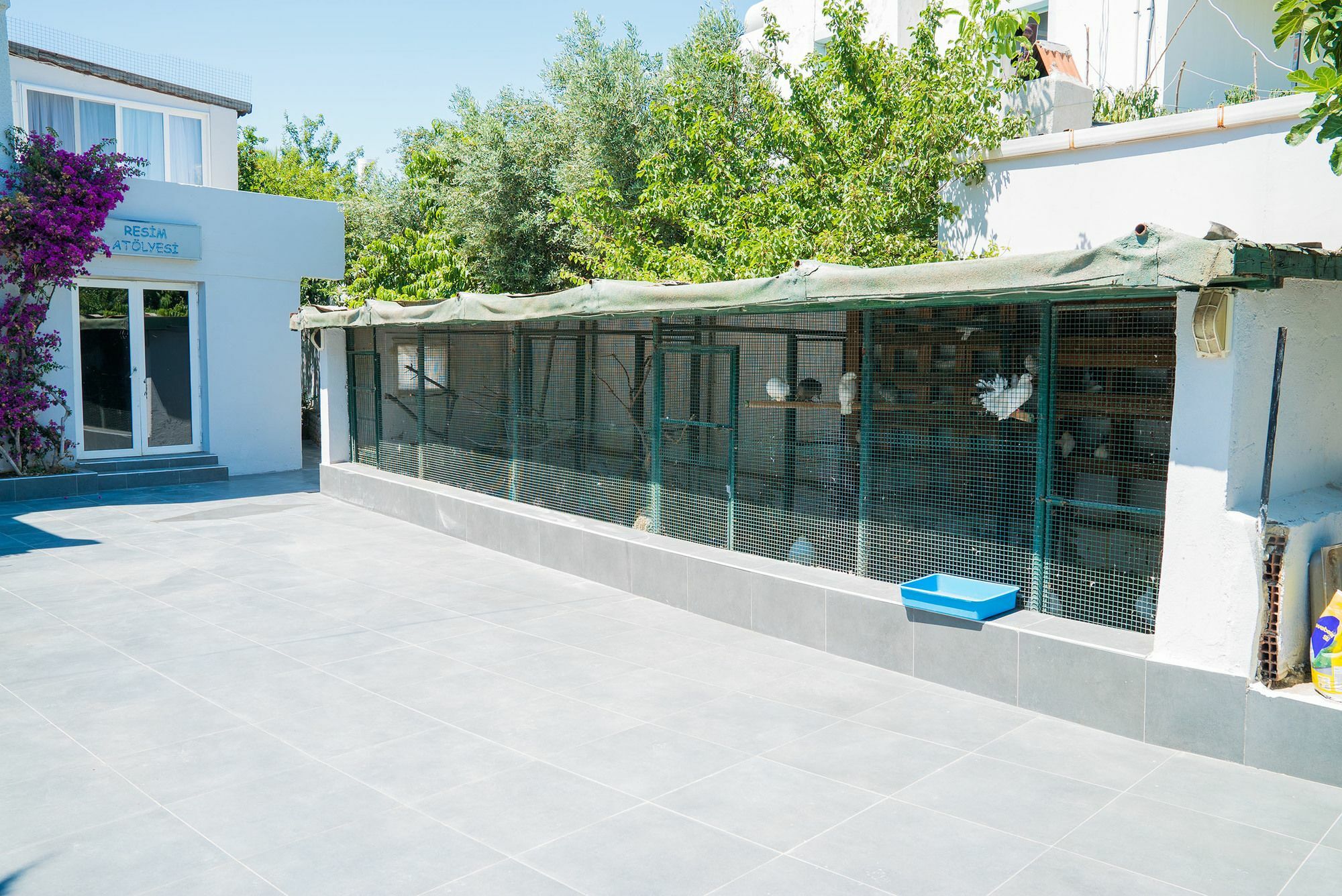 Art Suites Hotel Yalikavak Exterior photo